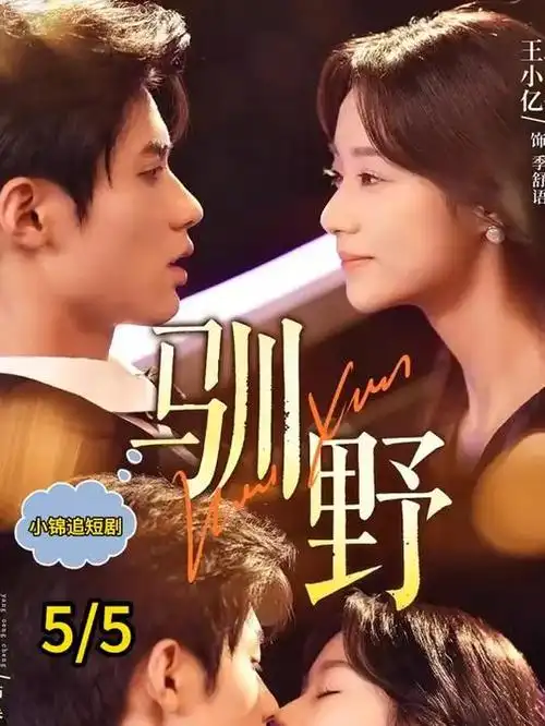 书架空白现象的档案封面插画
